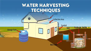 Rainwater Harvesting: Save Water & Reduce Costs